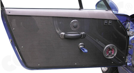 CARGRAPHIC Door Panel Pair RS - - Visual-Carbon<br>
- without mounting hardware<br>
<b>Part No.</b>INP11POR3SC